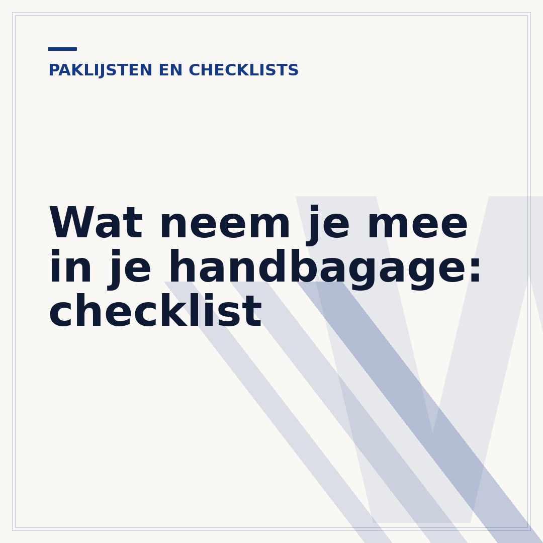 Wat neem je mee in je handbagage: checklist
