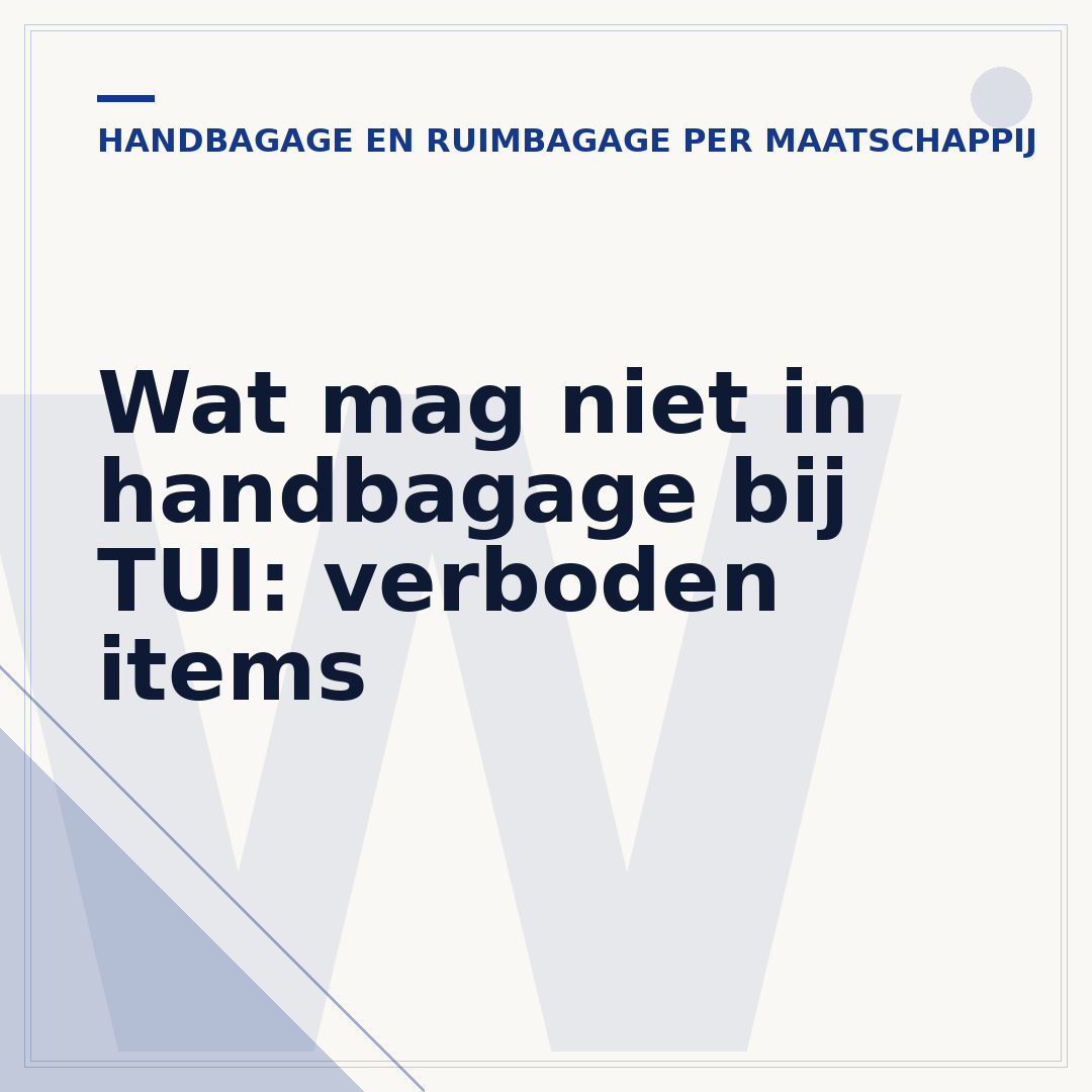 Wat mag niet in handbagage bij TUI: verboden items