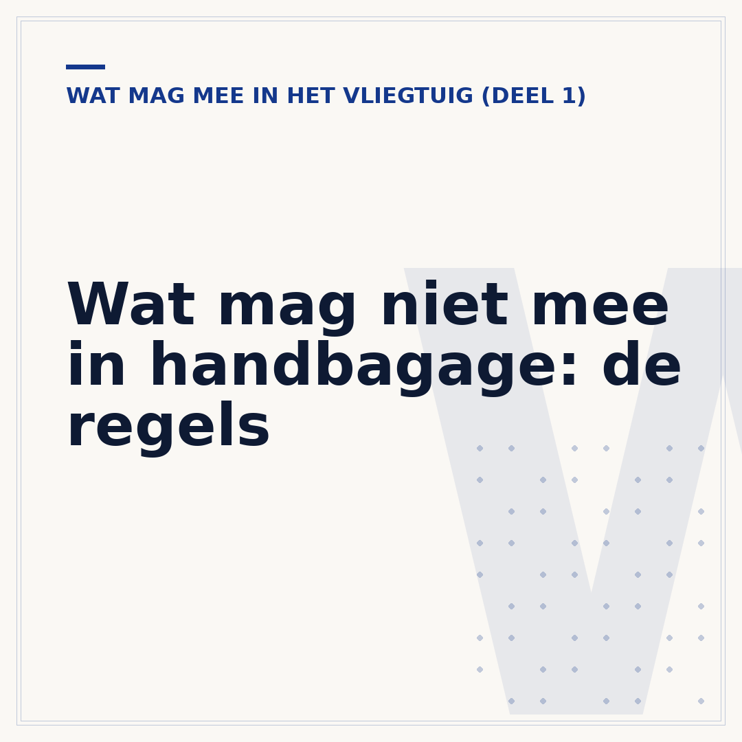 Wat mag niet mee in handbagage: de regels